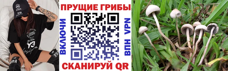 Галлюциногенные грибы Magic Shrooms  Верхняя Тура 